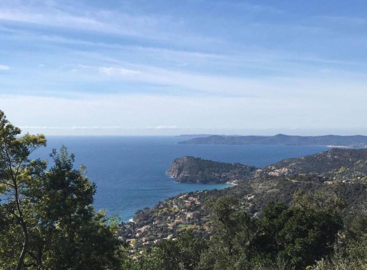 Villa les Alizés Le Le Rayol-Canadel-sur-Mer Exterior foto