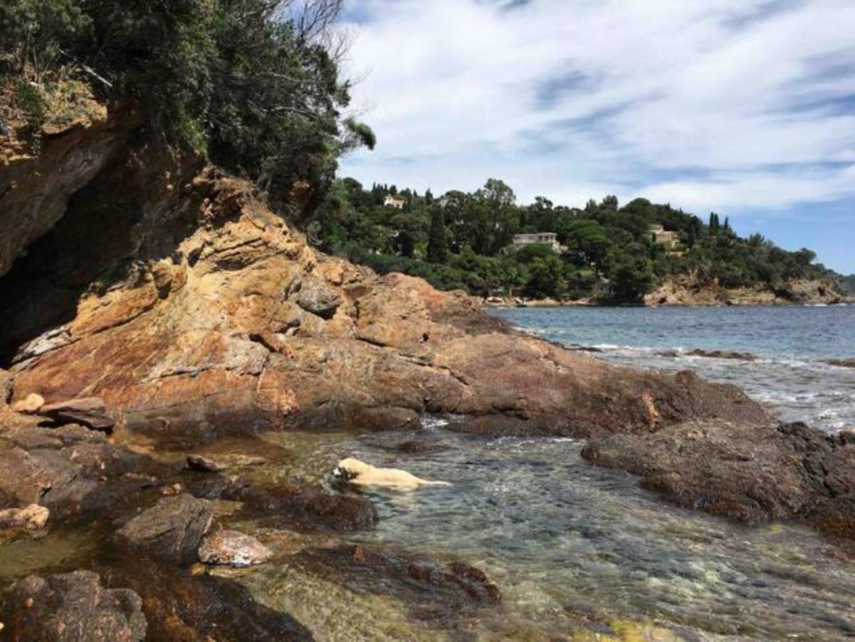 Villa les Alizés Le Le Rayol-Canadel-sur-Mer Exterior foto