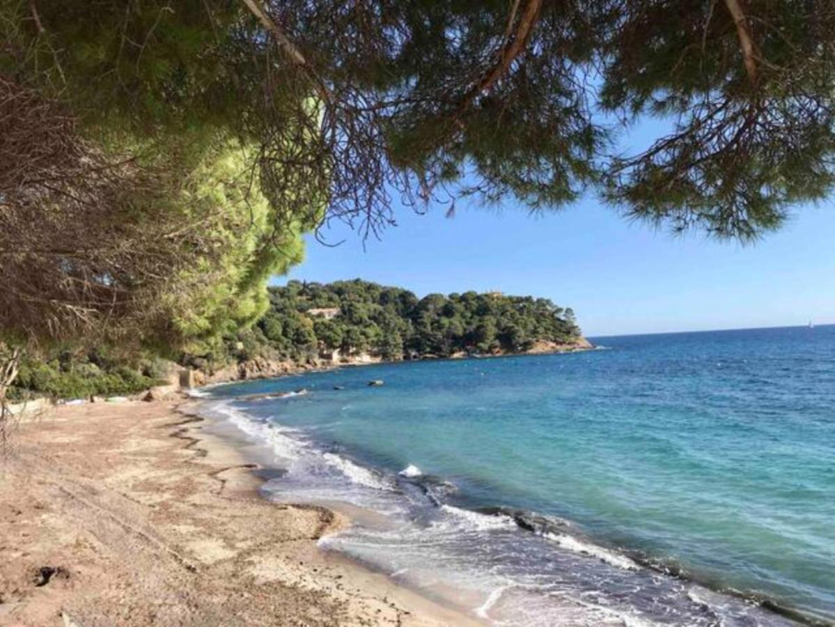 Villa les Alizés Le Le Rayol-Canadel-sur-Mer Exterior foto