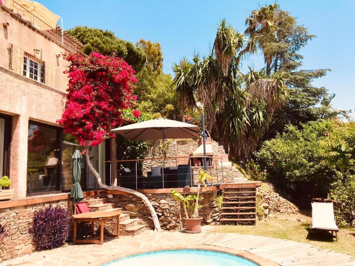 Villa les Alizés Le Le Rayol-Canadel-sur-Mer Exterior foto