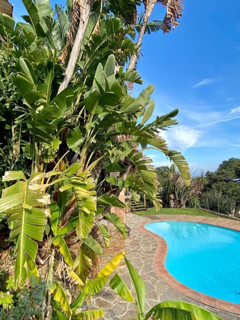 Villa les Alizés Le Le Rayol-Canadel-sur-Mer Exterior foto