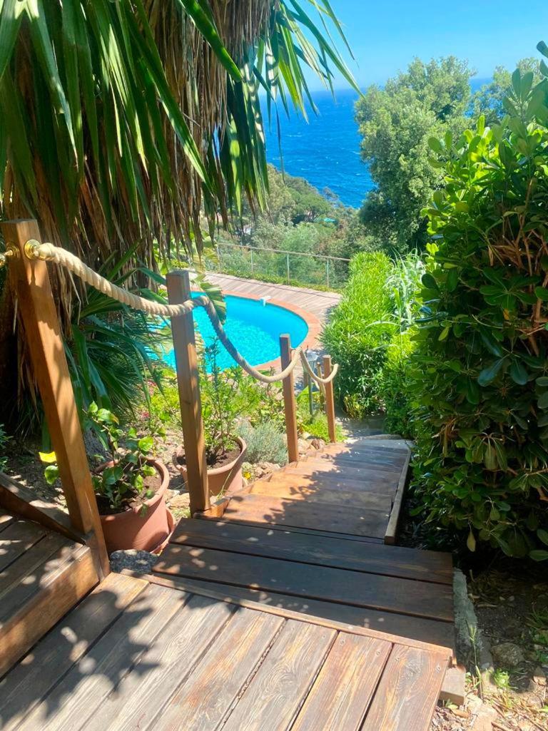 Villa les Alizés Le Le Rayol-Canadel-sur-Mer Exterior foto